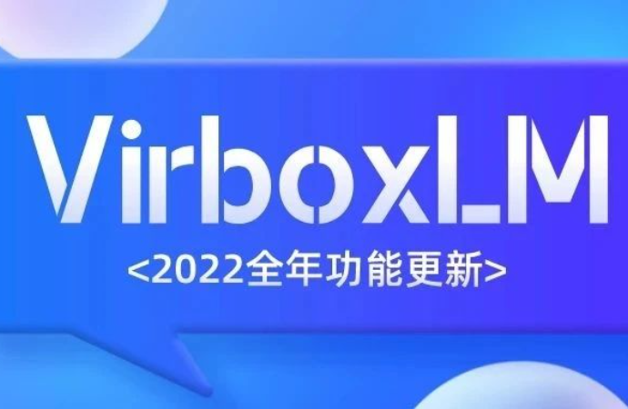 VirboxLM 2022 年度回顾